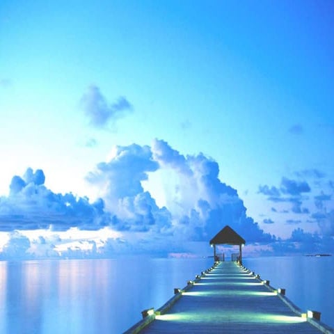 Hemostasis, hemorrhage and blood transfusion