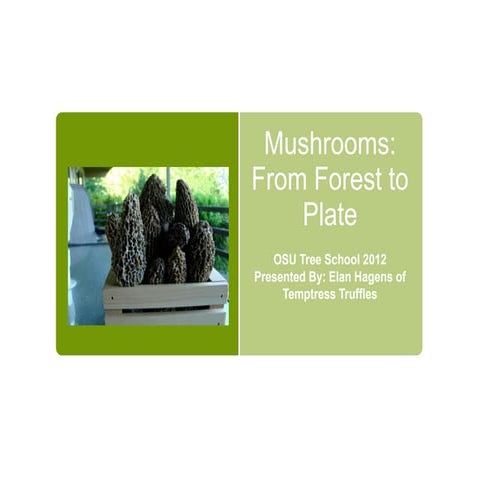 Pacific Northwest Mushrooms Education Powerpoint