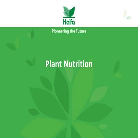 An introduction to professional plant nutrition | Haifa Group