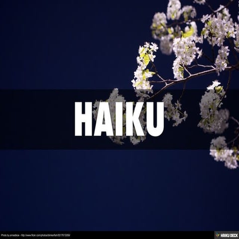 Haiku