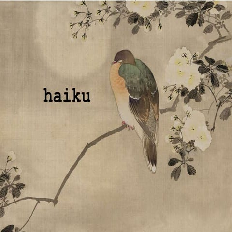 HAIKU | PPTX