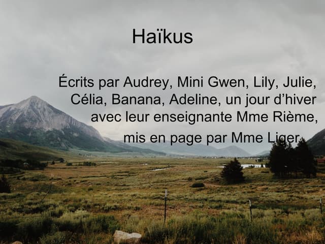 Haikus 