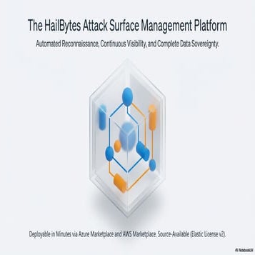 HailBytes ASM Platform: Enterprise Attack Surface Management with ...
