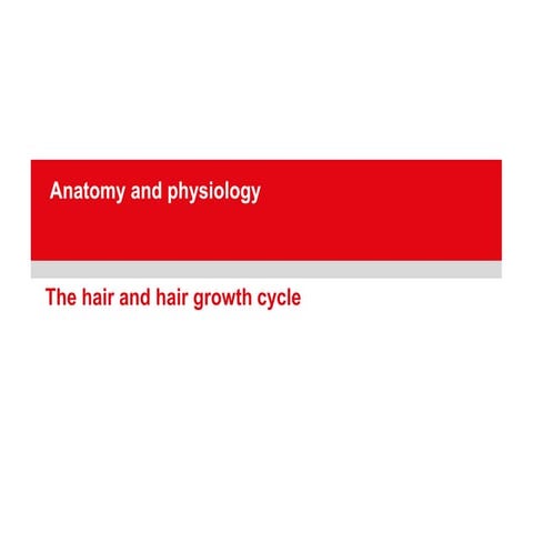 Hair-presentation.pdf it's all about the minor details of hair anatomy