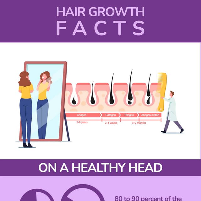 Best Hair Colourist Sydney PDF