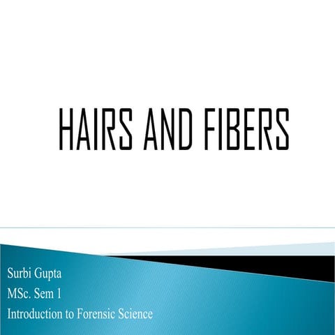 Hair and fiber