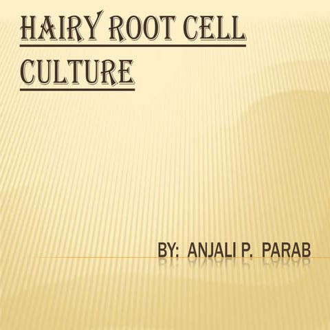 Hairy root cell culture