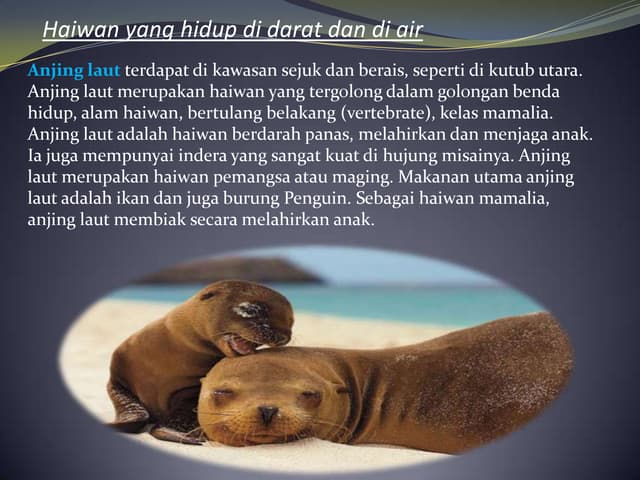 Haiwan Yang Hidup Di Dalam Air Sahaja
