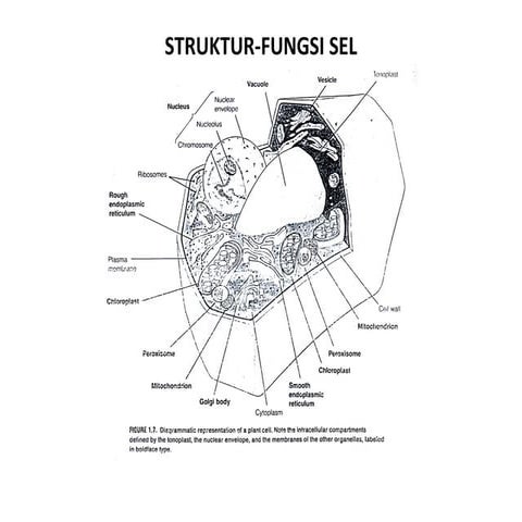 Hakekat  sains prof. djukri  (6)