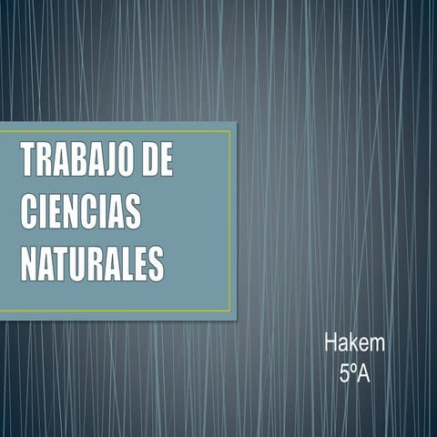 Cambio climático - Hakem