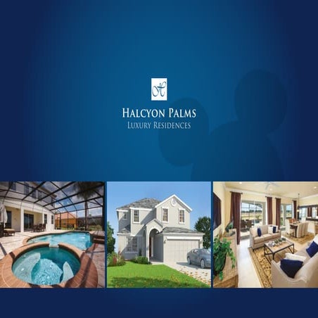 Palms Brochure