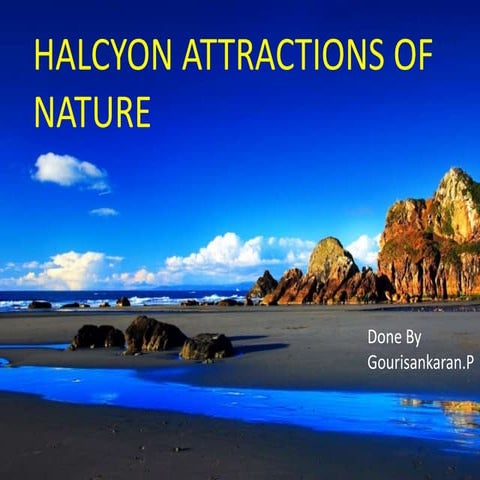 Halcyon Attractions Of Nature