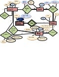 Er Diagram For Bug Tracking System Academic Java Project On
