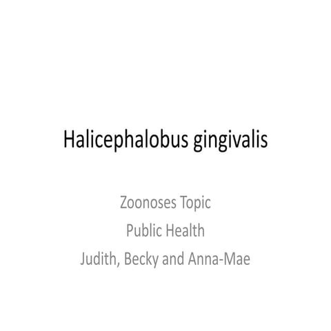 Halicephalobus gingivalis snakes and ladders | PPTX