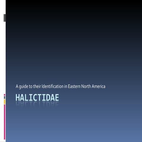 Identification of Eastern North American Bee Genera in the Family Halictidae