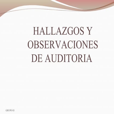 Hallazgos y observaciones de auditoria