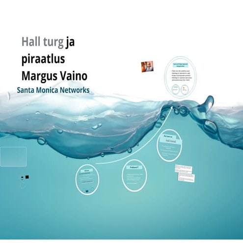 Hall turg ja piraatlus