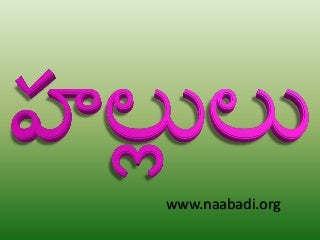 తెలుగు హల్లులు (Telugu Hallulu)