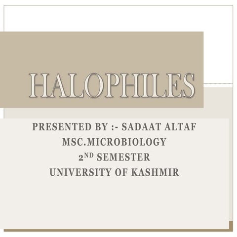 Halophile sfinal.pptx