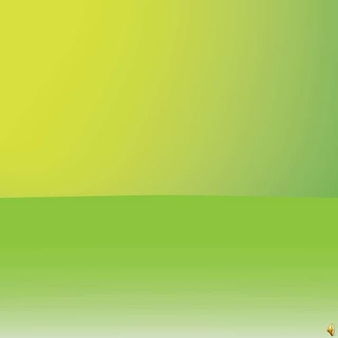 All In - Halves Presentation