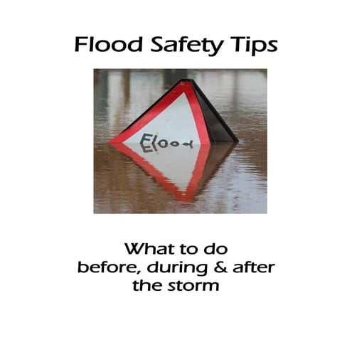 Hamilton King - Flood Safety Tips