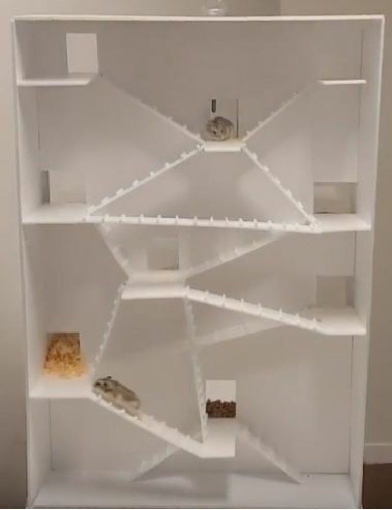 hamster condo