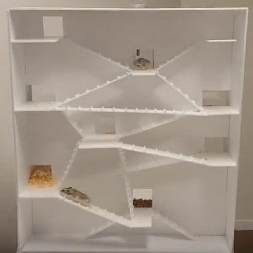View of HAMSTER APARTMENT-HAMSTER'S DREAM HOUSE | PDF