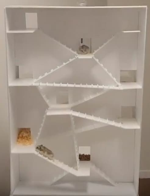 HAMSTER APARTMENT-HAMSTER'S DREAM HOUSE | PDF
