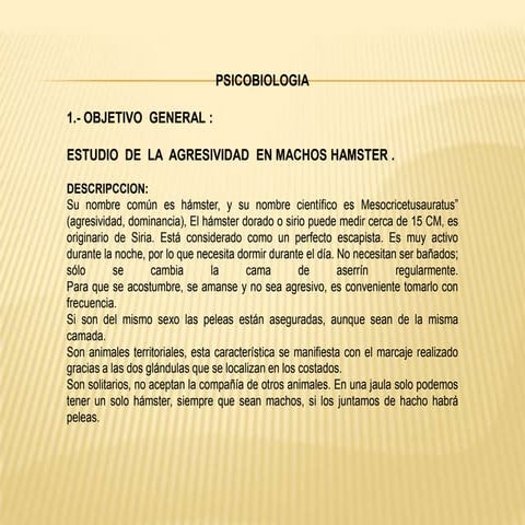 El hamster | PDF