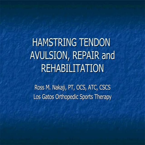 Hamstring Avulsion Repair Rehabilitation