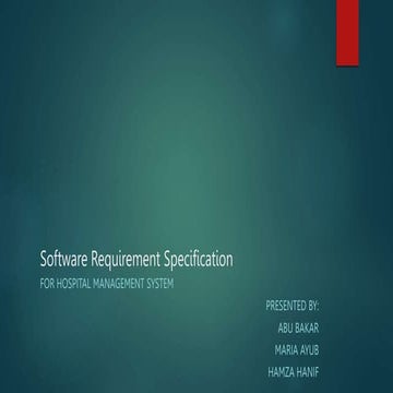 Hamza-Hanif_Presentation.pptx