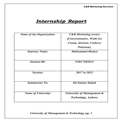 Hamza internship report