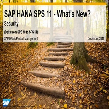 What's new in SAP HANA SPS 11 Security