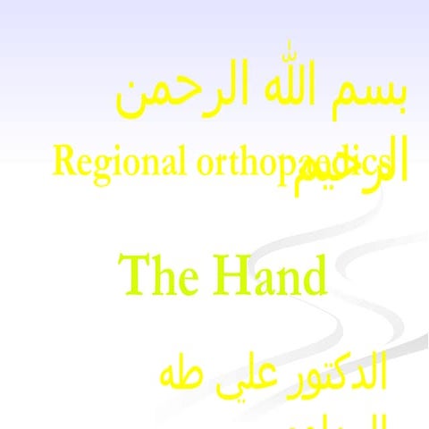 Hand and bone of the hand anatomy and orthopedic