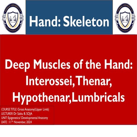 HAND-SKELETON, INTEROSSEI AND LUMBRICALS.pptx