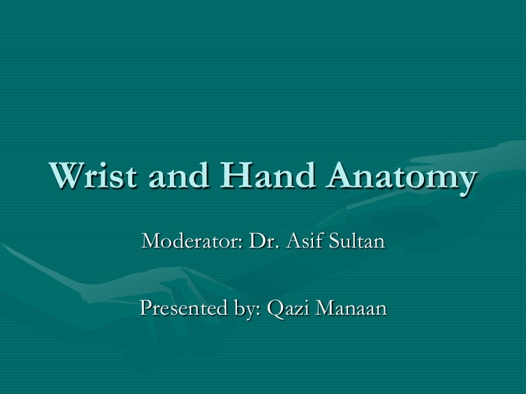 Hand anatomy new
