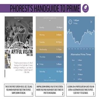 Phorest's Handguide To Prime