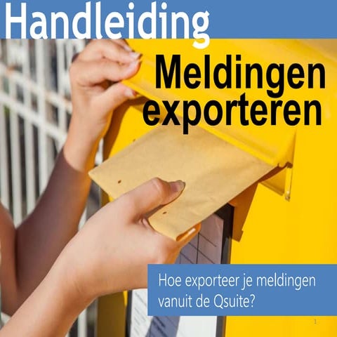 Handleiding lelie zorggroep meldingen exporteren