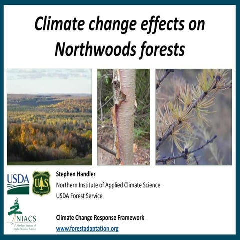 Climate Change Effects on Forest | PDF