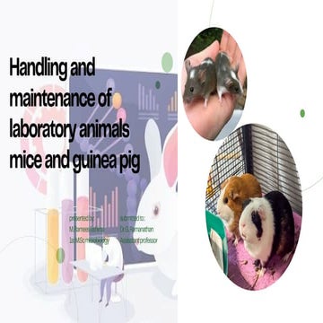 Comprehensive Guide to Handling and Maintenance of Laboratory Mice and ...