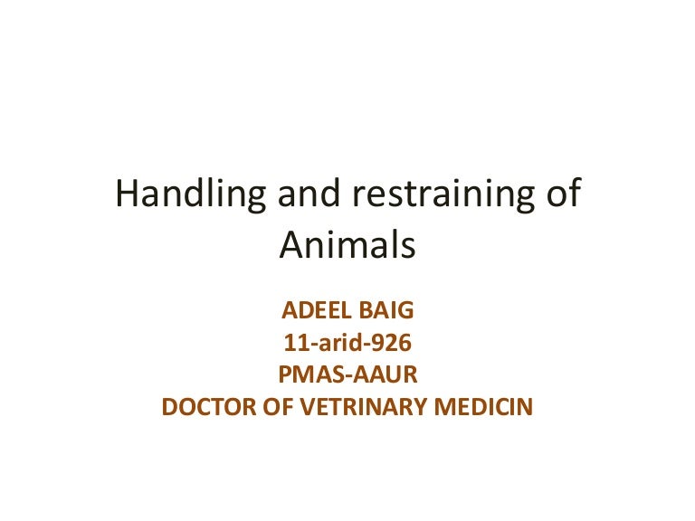 handling of animals