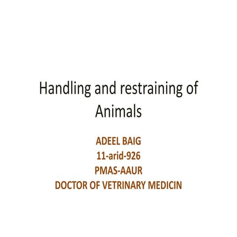 handling of animals