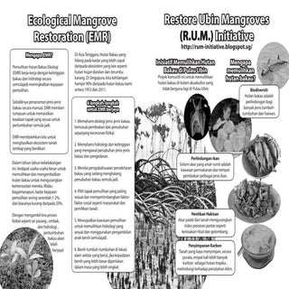 Restore Ubin Mangroves (R.U.M.) Ini...