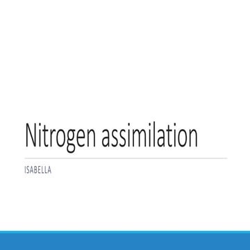 nitrogen assimilation
