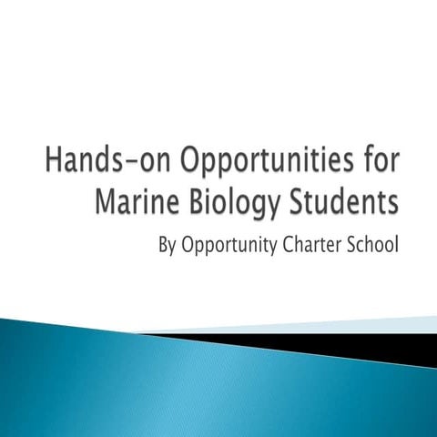 Hands-on Opportunities for Marine Biology Students