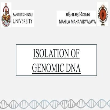 Isolation of genomic DNA from Animal Tissue 