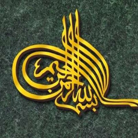 Hanipsych, biology of psychotherap