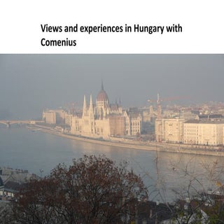 Hannah Roscoe's Final Thoughts