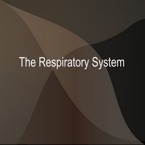 Respiratory System