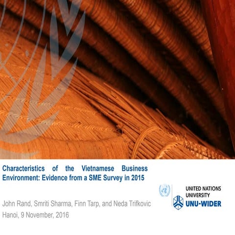 Characteristics of the Vietnamese Business Environment: Evidence from a SME S...